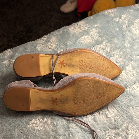 Splendid - Picture 2 of 2